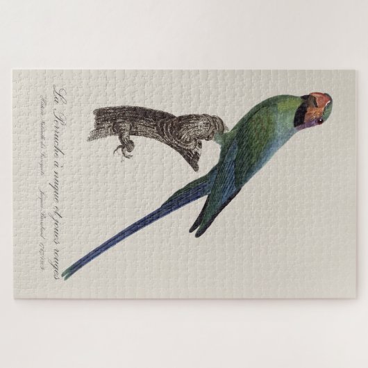 La Perruche a unque et joues rouges Legpuzzel (Horizontaal)