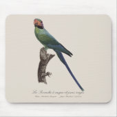 La Perruche a unque et joues rouges Muismat (Voorkant)