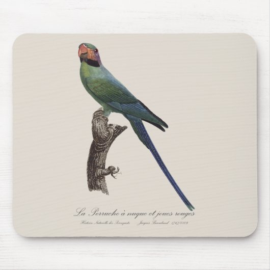 La Perruche a unque et joues rouges Muismat (Voorkant)