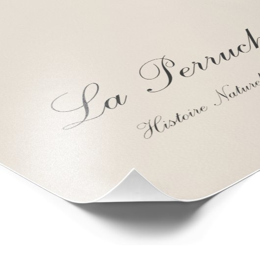 La Perruche Ara, een kloof variëteit Foto Afdruk (Hoek)