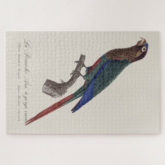 La Perruche Ara, een kloof variëteit Legpuzzel (Horizontaal)