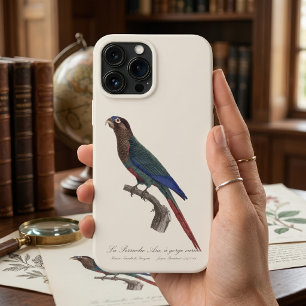 La Perruche Ara, met gevarieerde keel  Case-Mate iPhone Case