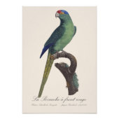 La Perruche een voorste rouge Foto Afdruk (Voorkant)