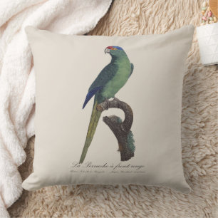 La Perruche een voorste rouge Kussen