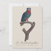 La Perruche fringillaire Bedankkaart (Voorkant)