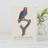 La Perruche fringillaire Bedankkaart (Staand voorkant)