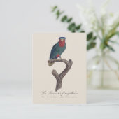 La Perruche fringillaire Briefkaart (Staand voorkant)