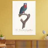 La Perruche fringillaire Canvas Afdruk (Insitu (Woonkamer))