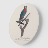 La Perruche fringillaire Grote Klok (Hoek)