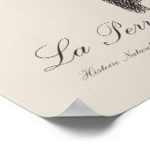 La Perruche fringillaire Poster (Hoek)