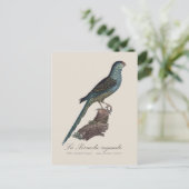 La Perruche ingambe Briefkaart (Staand voorkant)