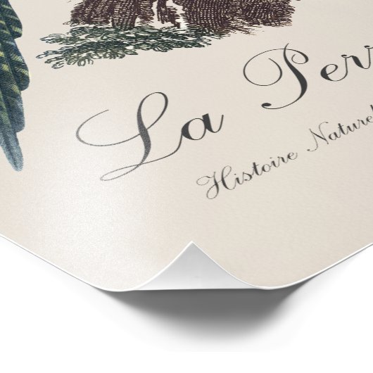 La Perruche ingambe Foto Afdruk (Hoek)