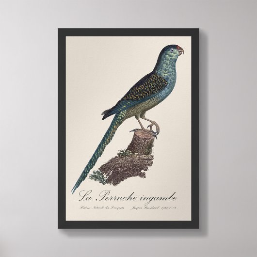 La Perruche ingambe Foto Afdruk