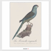 La Perruche ingambe Sticker (Vel)
