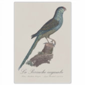 La Perruche ingambe Sticker (Voorkant)