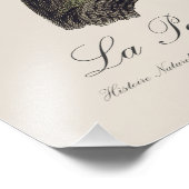 La Perruche souris / Monniksparkiet Foto Afdruk (Hoek)