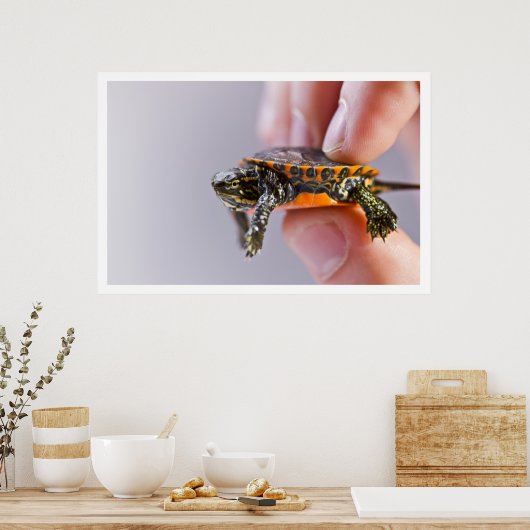La Petite Tortue Poster (Keuken)
