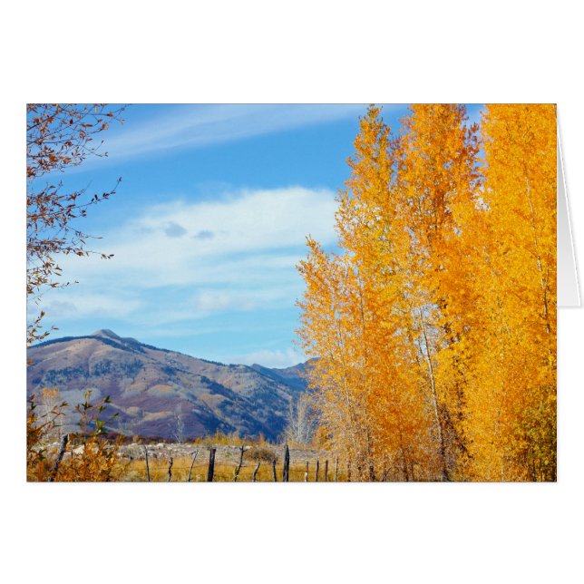 La Platas Autumn (Voorkant Horizontaal)