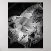 La pluie noir - veertien dagen Lily, transparant Poster (Voorkant)