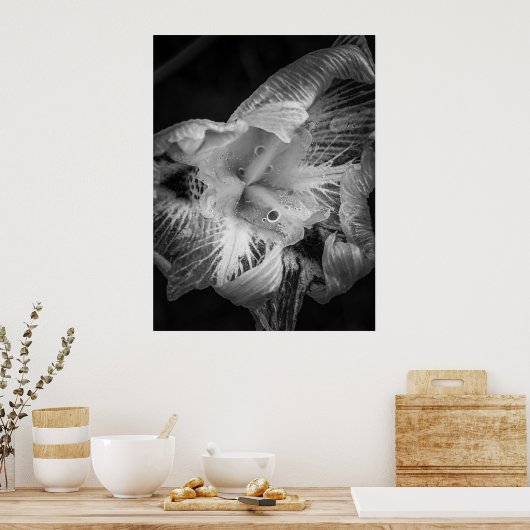 La pluie noir - veertien dagen Lily, transparant Poster (Keuken)