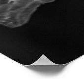 La pluie noir - veertien dagen Lily, transparant Poster (Hoek)