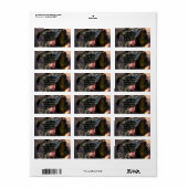 La Poire #2 Etiket (Full Sheet)