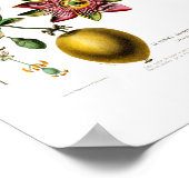 La Pomme Grenadille Pink Floral Flore D Am Poster (Hoek)