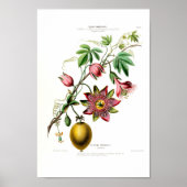 La Pomme Grenadille Pink Floral  Flore D Am Poster (Voorkant)