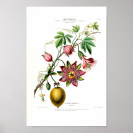 La Pomme Grenadille Pink Floral  Flore D Am Poster