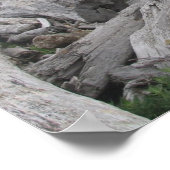 La Push, Pacific Coast - WA Poster (Hoek)