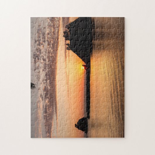 La Push, Washington. Panorama Legpuzzel (Verticaal)