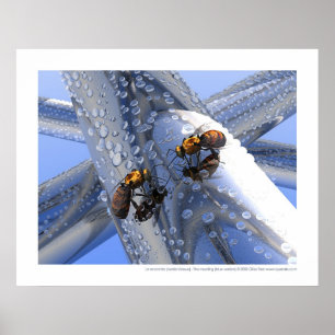 La rencontre - De vergadering (blauwe versie) Poster