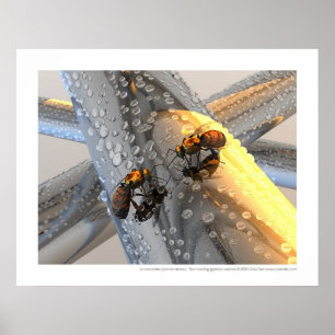 La rencontre - De vergadering (gouden versie) Poster
