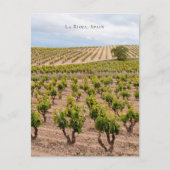 La Rioja, Spain Vineyard Landscape Briefkaart (Voorkant)