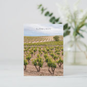La Rioja, Spain Vineyard Landscape Briefkaart (Staand voorkant)