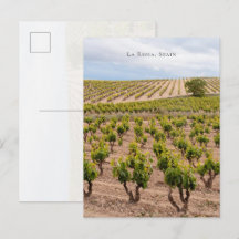La Rioja, Spanje Wijngaard Landschap