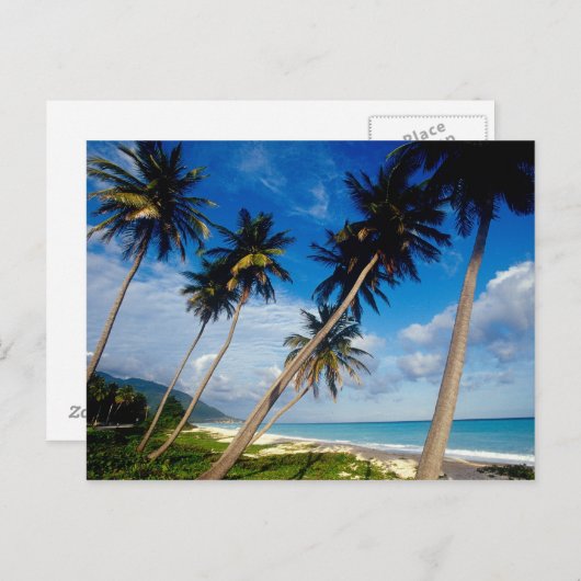 La Samana Peninsula, Dominicaanse Republiek, Briefkaart (Voorkant / Achterkant)