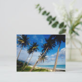 La Samana Peninsula, Dominicaanse Republiek, Briefkaart (Staand voorkant)