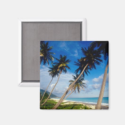 La Samana Peninsula, Dominicaanse Republiek, Magneet (Voorkant / Achterkant)