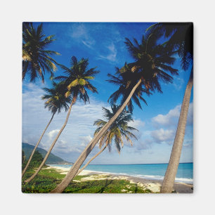 La Samana Peninsula, Dominicaanse Republiek, Magneet