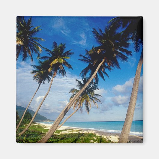 La Samana Peninsula, Dominicaanse Republiek, Magneet (Voorkant)