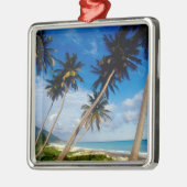 La Samana Peninsula, Dominicaanse Republiek, Metalen Ornament (Links)