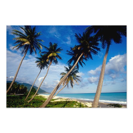 La Samana schiereiland, Dominicaanse Republiek, 2 Foto Afdruk (Voorkant)