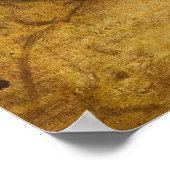 La Scapigliata, 1508 by Leonardo da Vinci Poster (Hoek)