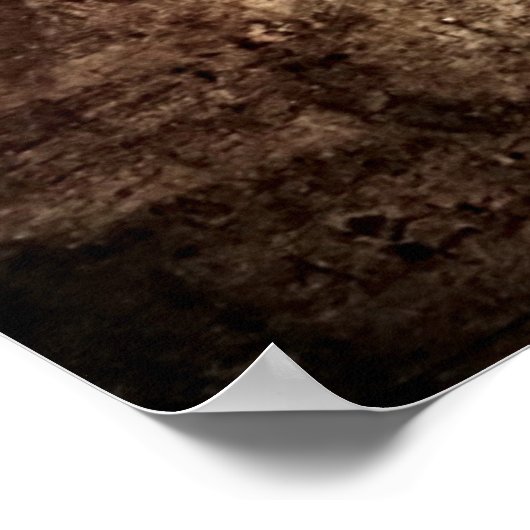 La Scapigliata door Leonardo da Vinci Poster (Hoek)