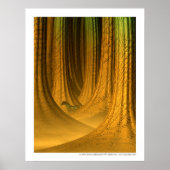 La selva de las palabras poster (Voorkant)