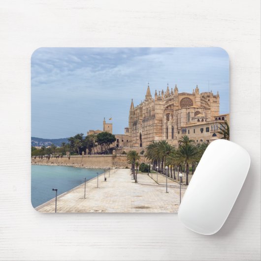 La Seu, de kathedraal van Palma de Mallorca - Span Muismat (Met muis)
