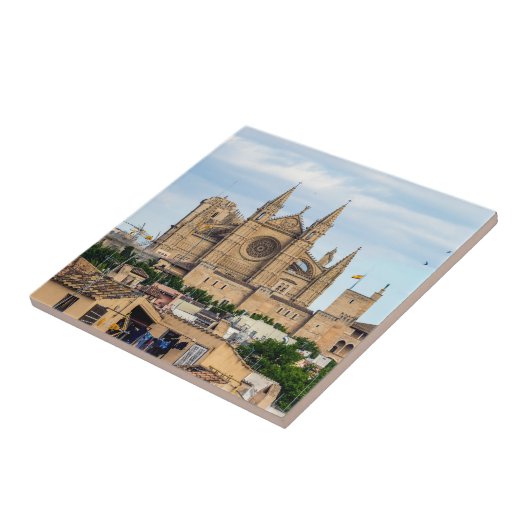 La Seu, de kathedraal van Palma de Mallorca - Span Tegeltje (Zijkant)