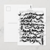 La symphonie des chats briefkaart (Voorkant / Achterkant)