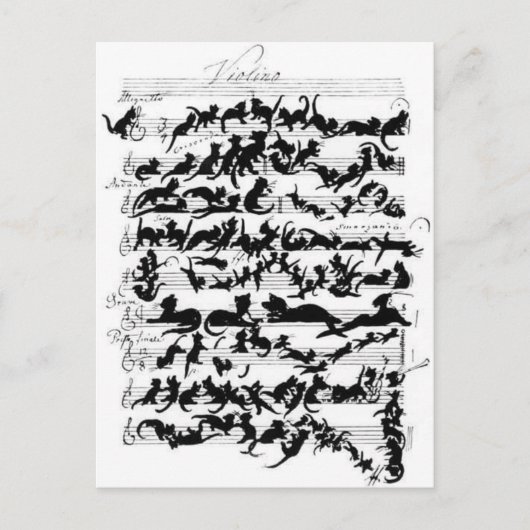La symphonie des chats briefkaart (Voorkant)